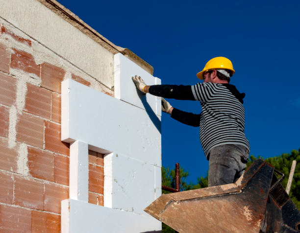 Best Commercial Insulation in Lemay, MO
