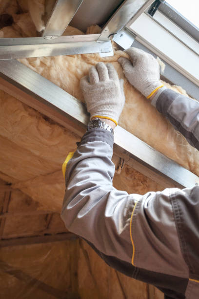 Best Types of Insulation in Lemay, MO